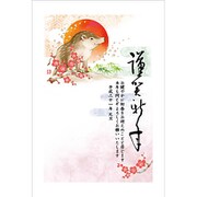 2019年 お年玉付き年賀はがき 4 5枚パック 2019-No.04