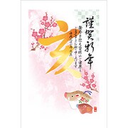 2019年 お年玉付き年賀はがき 6 5枚パック 2019-No.06