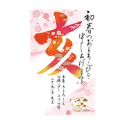 2019年 お年玉付き年賀はがき 5枚パック A03