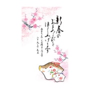 2019年 お年玉付き年賀はがき 5枚パック A08