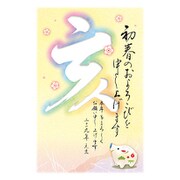2019年 お年玉付き年賀はがき 5枚パック A10