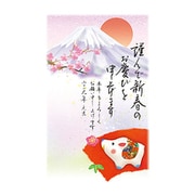 2019年 お年玉付き年賀はがき 5枚パック A12