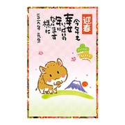 2019年 お年玉付き年賀はがき 5枚パック A14
