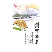 2019年 お年玉付き年賀はがき 5枚パック A16