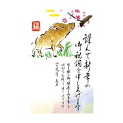 2019年 お年玉付き年賀はがき 5枚パック A18