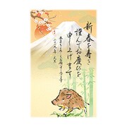 2019年 お年玉付き年賀はがき 5枚パック A19
