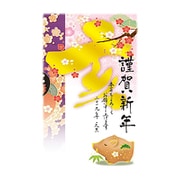 2019年 お年玉付き年賀はがき 5枚パック A20