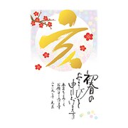 2019年 お年玉付き年賀はがき 金箔 3枚パック D01