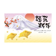 2019年 お年玉付き年賀はがき 金箔 3枚パック D19