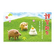 2019年 お年玉付き年賀はがき フォト 3枚パック P03