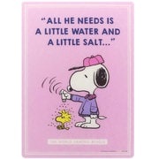 S4136357 下敷 SNOOPY PaleJoy！ P [限定 キャラクターグッズ]