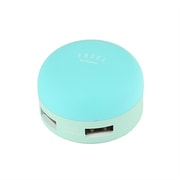 FRUEL フルーエル 2ポートUSB-AC充電器 ミント