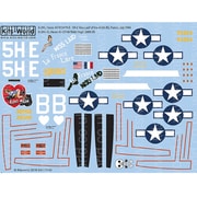 172145 WW.II アメリカ陸軍 A-20 ハボック Miss Laid & Ridin' High ノーズアート機デカール [1/72スケール デカール]