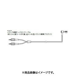 CABLE WITH PLUG (BALANCE) 184953321