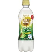季節品 カルピスソーダ シャルドネ＆マスカット PET 500ml×24本 [炭酸飲料水]