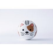 BSF-ZOO06 Football Zoo ネコ [フットサルボール 1号球]