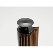 BeoLab 18 Black-1620333 [アクティブスピーカー]