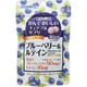 かんでおいしいチュアブルサプリ ブルーベリー&ルテイン 120粒