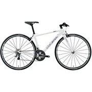 クロスバイク 540mm(175~190cm) 外装20段変速 SHIMANO TIAGRA AVIATOR 9.1(540)(AI) LG WHITE