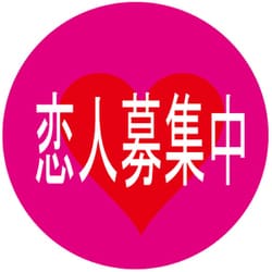 ヨドバシ Com 入江商店 Btc 134 缶バッチ 恋人募集中 通販 全品無料配達