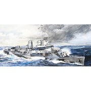SPW53 アメリカ海軍 駆逐艦 アレン M.サムナー [1/700スケール プラモデル]