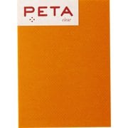 付箋 PETA clear L Mango 1736314