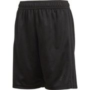 FSZ18 [サッカー メンズ KIDS TANGO CAGE JQD ショーツ ジュニア サッカー・フットサルウェア BLK J120]