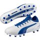 103750 [エヴォタッチ 2 HG 02PUMAWHITE 30.5cm]