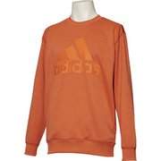 FAO89 [フィットネス メンズ M ESSENTIALS ライトスウェット クルーネック メンズ ローアンバーF18 J/XO]