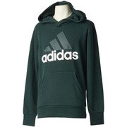 BVC41 [フィットネス メンズ M ESSENTIALS リニアロゴ スウェットプルオーバーパーカー(裏毛) GRNナイトF17/WH J/S]