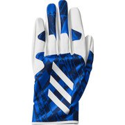 ETY44 [野球 5T フィールディンググラブ 守備用手袋 BLU/WHT RHL]