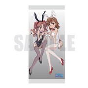とある魔術の禁書目録III クリアタペストリー A [キャラクターグッズ]