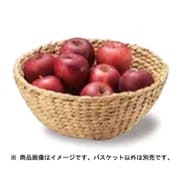 ウォーターヒヤシンスバスケット HC-013NA