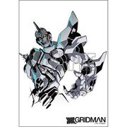 SSSS.GRIDMAN 描き下ろしタペストリー 「RE：BIRTH」（仮） [キャラクターグッズ]