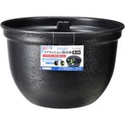 メダカ元気 [メダカのための飼育鉢 黒 320]