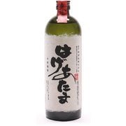 神 はげあたま 芋 25度 720ml [焼酎]
