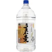 若松 うまか麦 25度 4000ml [焼酎]