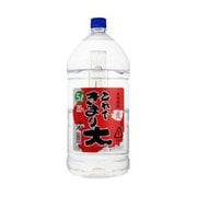 若松 これできまり大 ペット 20度 5000ml [焼酎]