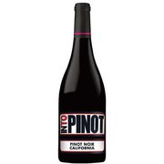 イントゥ ピノ・ノワール カリフォルニア 750ml アメリカ [赤ワイン]