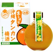 崎山酒造廠 生しぼり沖縄タンカン梅酒 10度 360ml [梅酒]