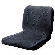 PINTO(ピント) アルファ [ 姿勢矯正器具]