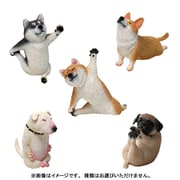 ANIMAL LIFE Baby Yoga Dog 1個 [コレクショントイ]