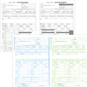 平成30年度版 源泉徴収票・給与支払報告書セット SR250
