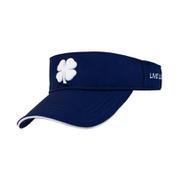 BC VISOR #6V