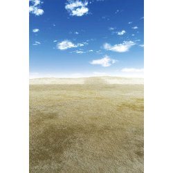 ヨドバシ.com - 箱庭技研 ジオラマシート PRO-S FREE 砂漠 HA1