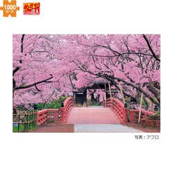 Amazon | エポック社 1000ピース ジグソーパズル 日本風景 天下