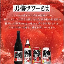 ヨドバシ.com - サッポロビール SAPPORO 男梅サワー 350ml 24缶