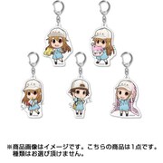 はたらく細胞 トレーディングアクリルキーホルダー 血小板だらけコレクション 1個 [コレクショントイ]