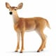 14819 [Wild Lifeシリーズ オジロジカ（メス）]