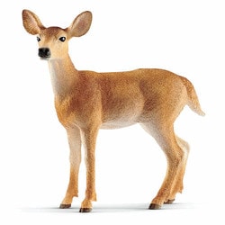 14819 [Wild Lifeシリーズ オジロジカ（メス）]
